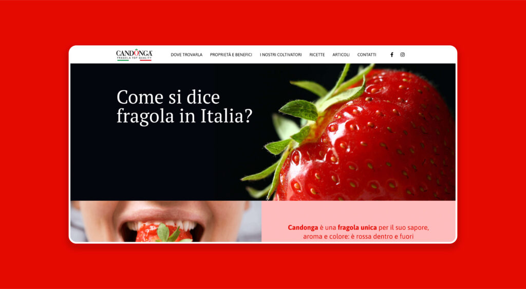 sito web prodotto candonga