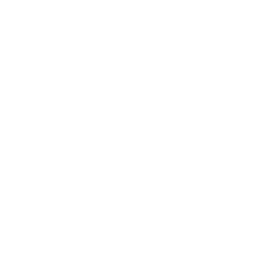 FANTI logo white